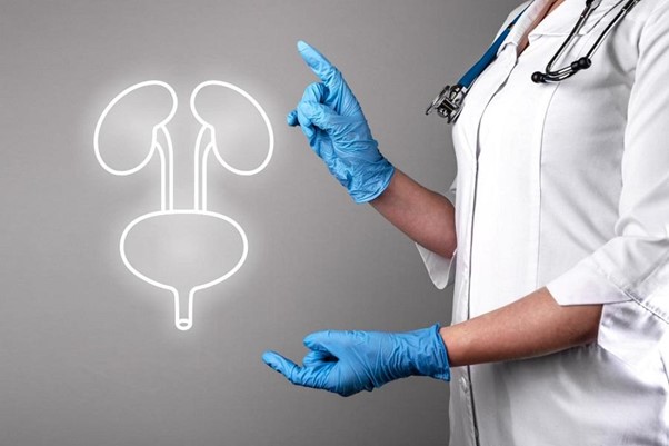 doctor with a bladder diagram